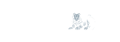 ING Bank A.Ş.